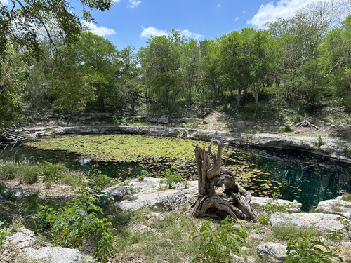 Progreso (Yucatan) Mayan Culture Tour Reviews