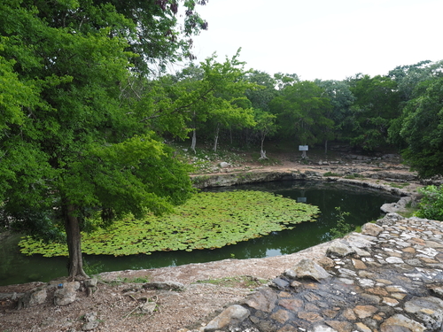 Progreso Yucatan Merida Highlights Trip Prices