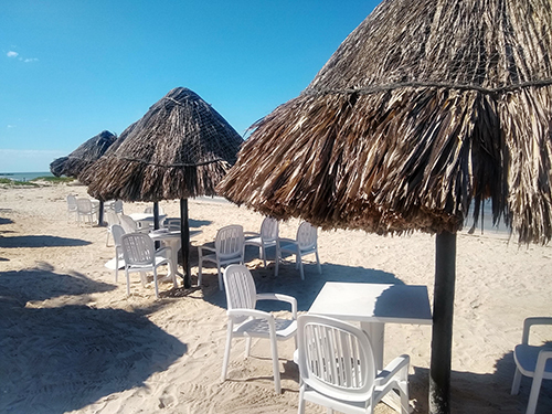 Progreso (Yucatan) Kids Activities Beach Break Shore Excursion Tickets
