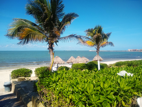 Progreso (Yucatan)  Mexico Friends Beach Break Tour Reservations