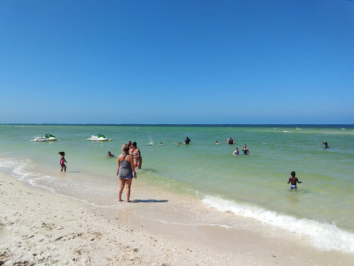 Progreso (Yucatan)  Mexico Seniors Beach Day Shore Excursion Cost