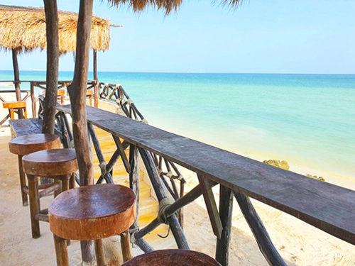 Progreso (Yucatan)  Mexico Food and Drinks Tour Booking