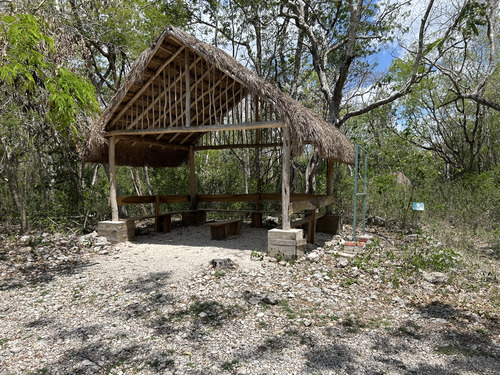 Progreso (Yucatan)  Mexico Mayan Ruins Cruise Excursion Reservations