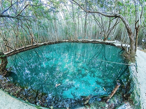 Progreso (Yucatan)  Mexico Nature Excursion Trip Cost