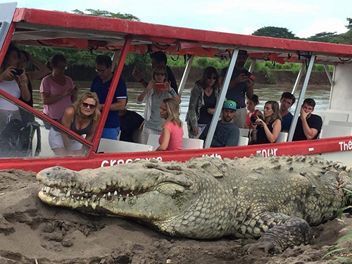 Puerto Caldera Costa Rica Crocodiles Boat Trip Reservations