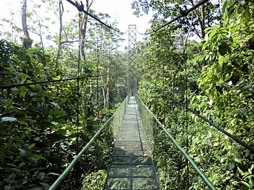 Puerto Caldera jungle rainforest Cruise Excursion Prices
