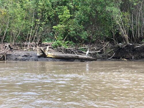 Puerto Caldera Private Combo Highlights Sightseeing Excursion 