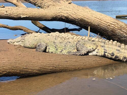 Puerto Caldera Private Combo Highlights Sightseeing Excursion 