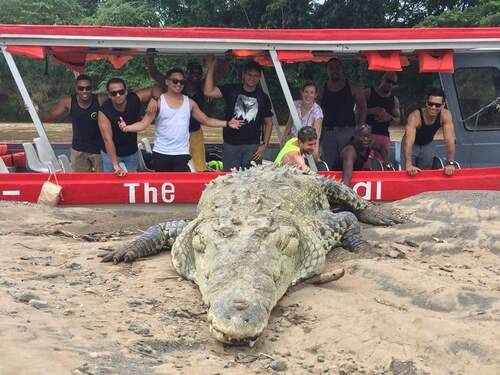 Puerto Caldera Private Jungle and River ATV and Crocodile Boat Safari Excursion