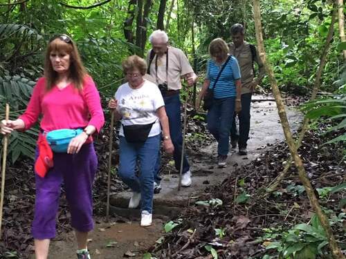 Puerto Caldera Private Rainforest Treetop Skywalk, River Cruise and Sightseeing Excursion