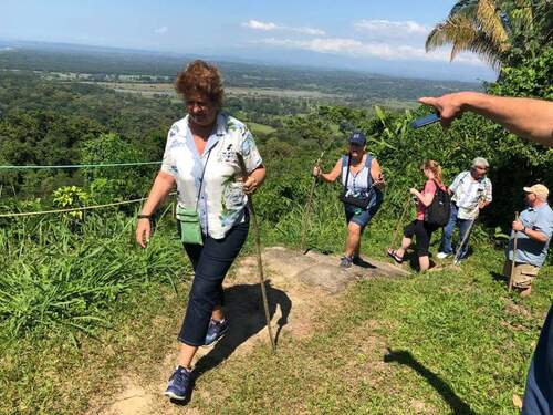 Puerto Caldera Private Rainforest Treetop Skywalk, River Cruise and Sightseeing Excursion