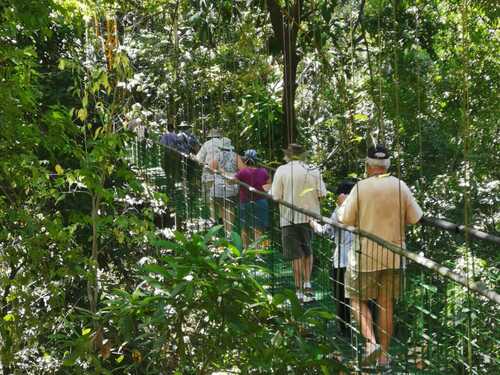 Puerto Caldera Private Rainforest Treetop Skywalk, River Cruise and Sightseeing Excursion