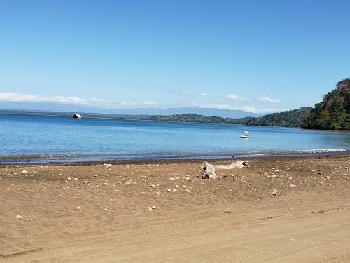 Puerto Caldera Private Rainforest Treetop Skywalk, River Cruise and Sightseeing Excursion