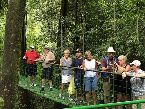 Puerto Caldera Private Rainforest Treetop Skywalk, River Cruise and Sightseeing Excursion