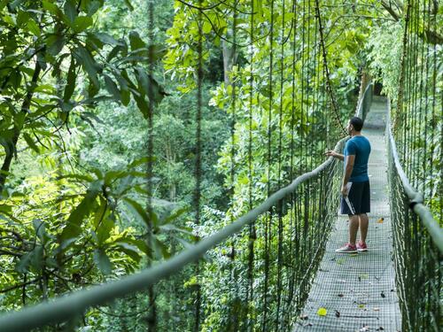 Puerto Caldera Private Rainforest Treetop Skywalk, River Cruise and Sightseeing Excursion
