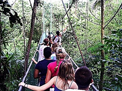 Puerto Caldera rain forest Excursion Cost