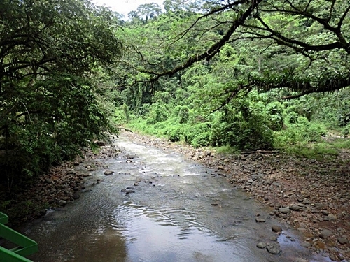Puerto Caldera rain forest Trip Booking