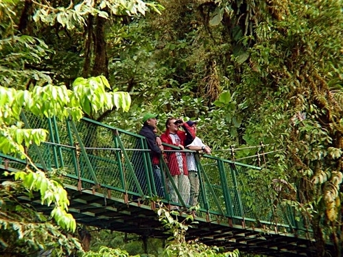 Puerto Caldera suspension bridges Excursion Prices