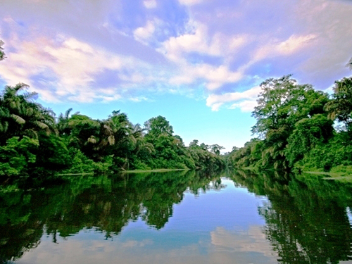 Puerto Caldera Carara Adventure Park Cruise Excursion Tickets