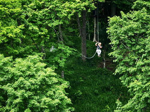 Puerto Caldera Costa Rica Carara Adventure Park Cruise Excursion Booking