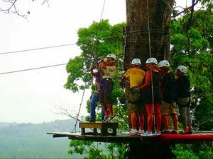 Puerto Limon Canopy Zip Line Excursion 
