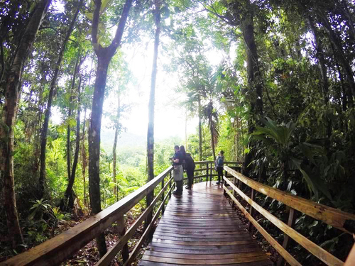 Puerto Limon Costa Rica Fauna Cruise Excursion Booking