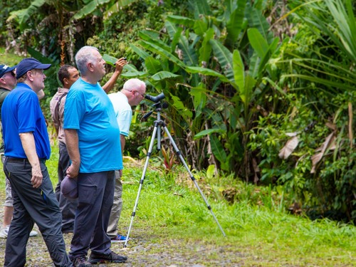 Puerto Limon Costa Rica rainforest  Excursion Reviews