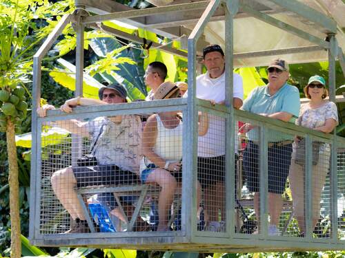 Puerto Limon Flora Excursion Cost