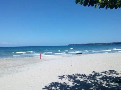 Puerto Limon Private Highlights, Rainforest, City, River Cruise, Banana Plantation and Shopping Excursion