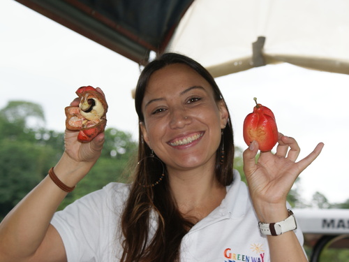 Puerto Limon Private Rainforest Tortuguero Canal and Banana Plantation Excursion