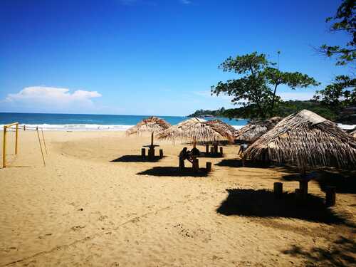Puerto Limon Private Rainforest Tortuguero Canal and Banana Plantation ...