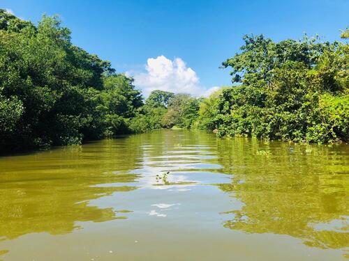 Puerto Limon Private Rainforest Tortuguero Canal and Banana Plantation Excursion