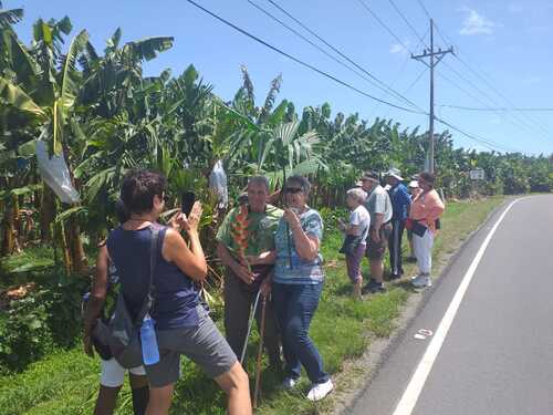 Puerto Limon Private Rainforest Tortuguero Canal and Banana Plantation Excursion