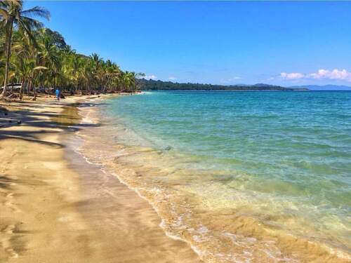 Puerto Limon Private Tropical Rainforest Walk and Banana Plantation Excursion