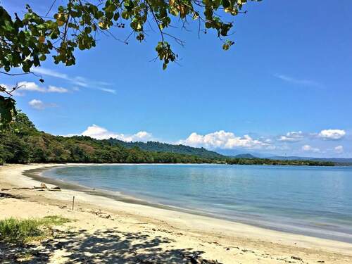 Puerto Limon Private Tropical Rainforest Walk and Banana Plantation Excursion