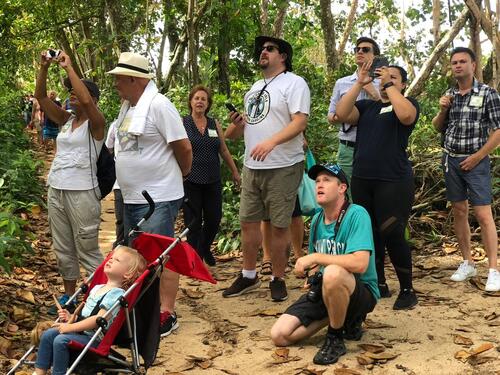 Puerto Limon Private Tropical Rainforest Walk and Banana Plantation Excursion