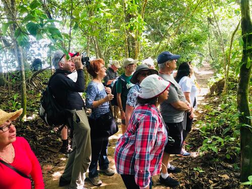 Puerto Limon Private Tropical Rainforest Walk and Banana Plantation Excursion