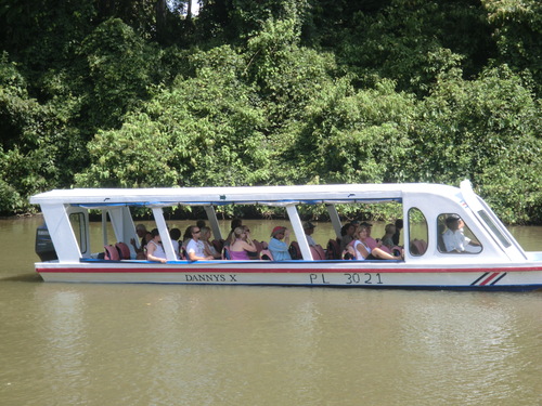 Puerto Limon Private Zip Line Canopy and Tortuguero Jungle River Cruise Excursion