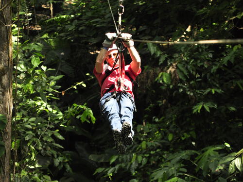 Puerto Limon Private Zip Line Canopy and Tortuguero Jungle River Cruise Excursion