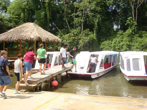 Puerto Limon Private Zip Line Canopy and Tortuguero Jungle River Cruise Excursion