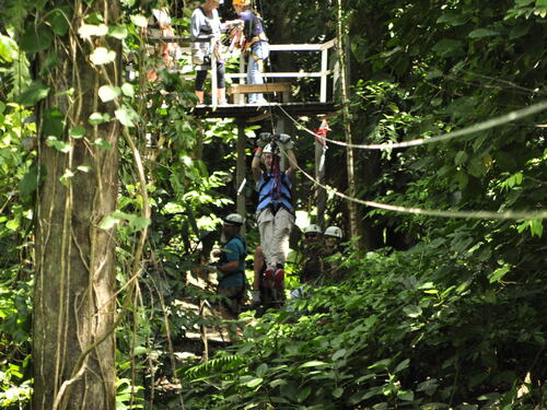 Puerto Limon Private Zip Line Canopy and Tortuguero Jungle River Cruise Excursion