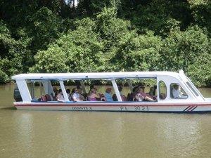 Puerto Limon Rainforest Tortuguero River Cruise Excursion and Nature Encounter