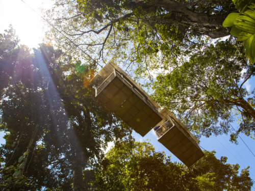 Puerto Limon Veragua rain forest Tour Prices