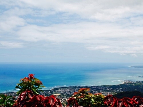 Puerto Plata Taino Bay Photo Stops Sightseeing Excursion Prices