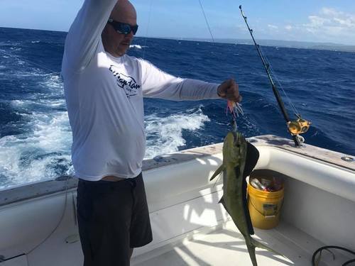 Puerto Plata Taino Bay  Dominican Republic Deep Sea Fishing Shore Excursion Booking