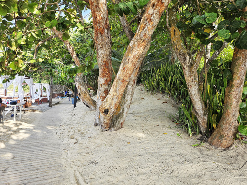Puerto Plata Taino Bay  Dominican Republic Playa Dorada Tour Prices