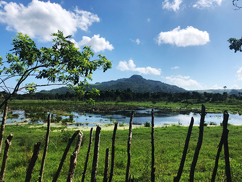Puerto Plata Horseback Riding Adventure Shore Excursion Tickets