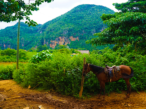 Puerto Plata Taino Bay  Dominican Republic Off Road Sightseeing Excursion Reservations