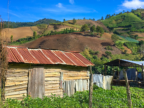 Puerto Plata Taino Bay  Dominican Republic Jungle Sightseeing Tour Reviews