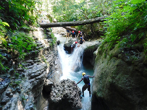Puerto Plata Damajagua Waterfalls Shore Excursion Booking